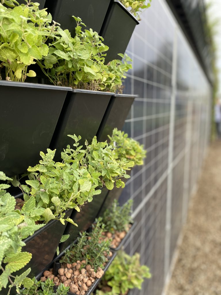 Photovoltaik und Indoor-Farming revolutionieren die Landwirtschaft / Pixabay
