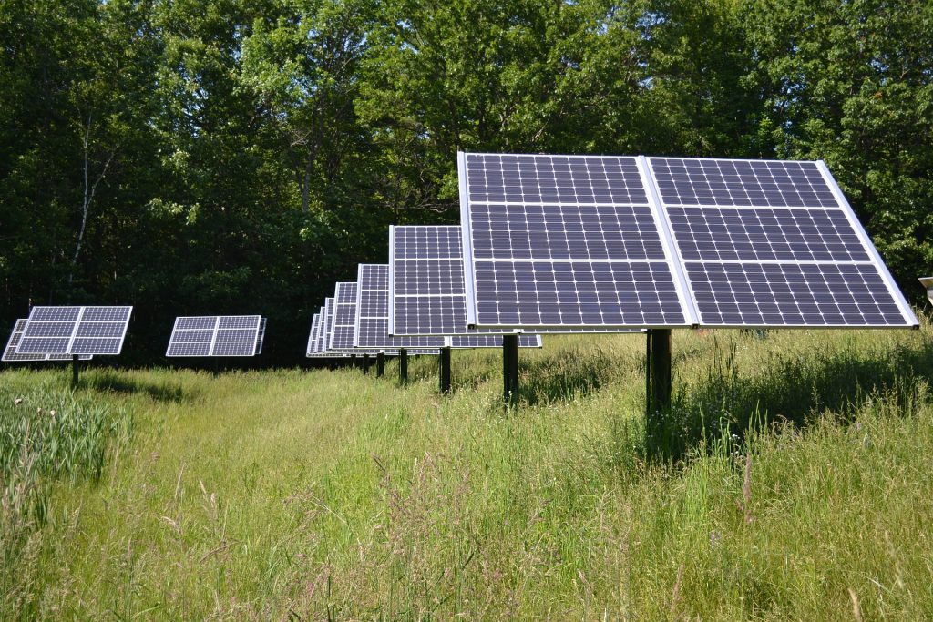 Solare Lösungen für die Landwirtschaft